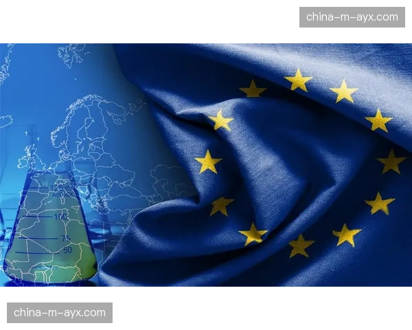 背景：欧盟《数字服务法》对足球赛事网络盗播治理产生的实际影响评估